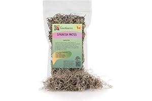 Premium Natural Spanish Moss | Natural Preserved - Great Ground Cover - Filler for Potted Plants - by GARDENERA - 1 Quart Bag