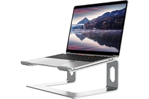 ALASHI Laptop Stand for Desk, Aluminum Computer Riser, Ergonomic Notebook Holder, Detachable Metal Laptops Elevator, PC Cooling Mount Support 10 to 15.6 Inches Notebook, Silver
