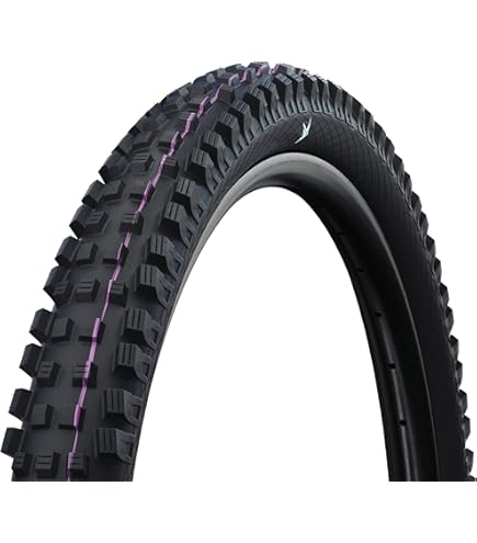 Amazon.com : Schwalbe Magic Mary Performance Tubeless Tire - 29In