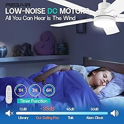 Ceiling Fan With Light 42-Inch, Remote Control