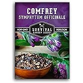 Comfrey Seeds - Symphytum Officinale - Perennial Medicinal Herb (1 Pack) | True Slippery Root for Compost Tea &amp; Natural Skincare - Non-GMO Heirloom Variety - Survival Garden Seeds