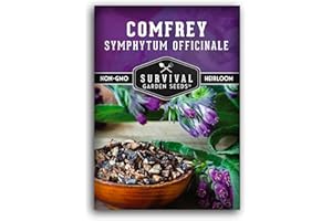 Survival Garden Seeds Comfrey Seed for Planting - 1 Packet with Instructions to Plant and Grow Slippery Root Plants in Your Home Herb Garden - Symphytum officinale - Non-GMO Heirloom
