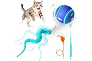ddxcoo Interactive Cat Toy Ball, Automatic Cat Toys for Indoor Cats, Motion Activated Kitten Toys with 2 Replacement Tails, 3 Modes, USB Rechargeable, Moving Cat Toys for Enrichment Exercise(Blue)