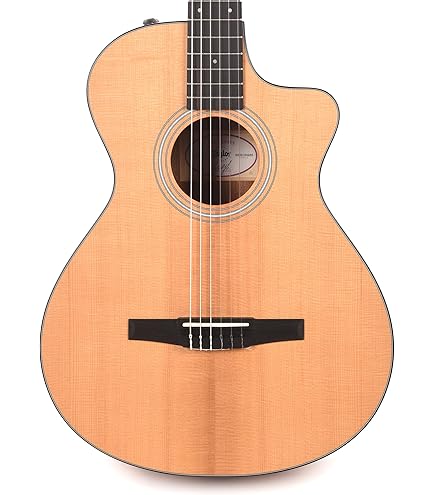 テイラーtaylor 112ceアコースティックギター 専用ケース付き Taylor-112ce-2202284174-