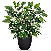 GnFlus Fake Plant 15.7” Artificial Plants Indoor Small Ficus Potted Plants Silk Plants Faux Topiary Plant for Home Bathroom Bedroom Dining Room Kitchen Window Shelf Desk Centerpieces Tabletop Decor