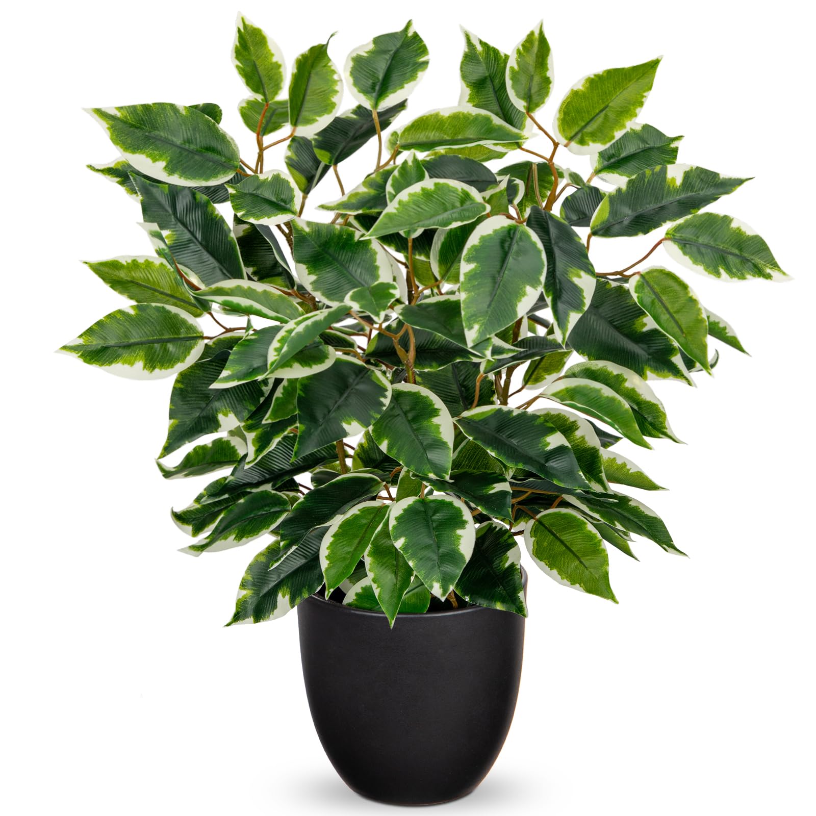 Photo 1 of GnFlus Fake Plant 15.7” Artificial Plants Indoor Small Ficus Potted Plants Silk Plants Faux Topiary Plant for Home Bathroom Bedroom Dining Room Kitchen Window Shelf Desk Centerpieces Tabletop Decor