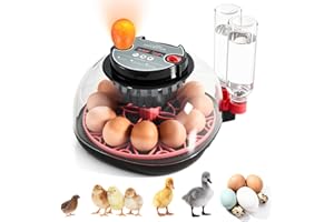 NIGWET Incubators for Hatching Eggs - 12 Egg Capacity, Egg Incubator with Automatic Egg Turning and Temperature Control, Incubator for Chicken, Duck, Goose, Quail, 360° Full View, Home Farm Classroom Use