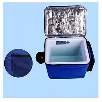 Azul 6L 12 V coche Mini nevera frigorífico: Amazon.es: Electrónica