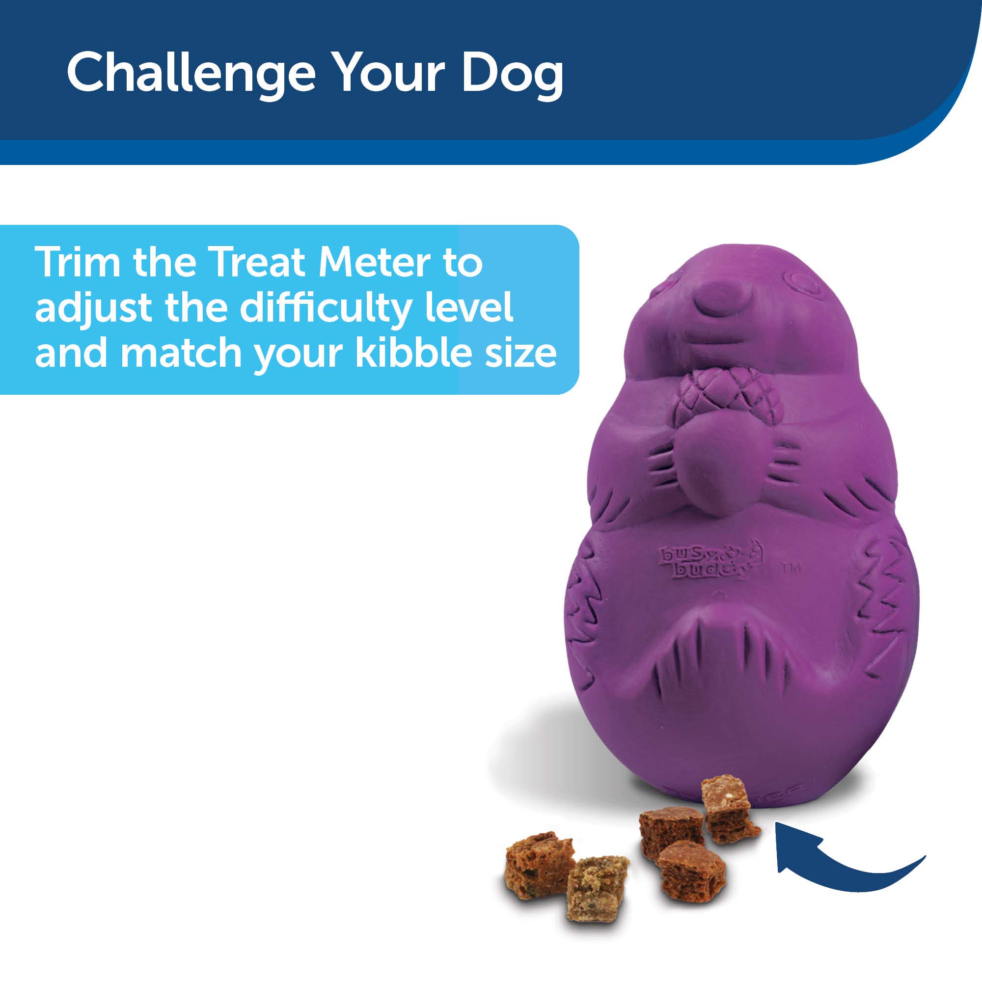 PetSafe Busy Buddy Squirrel Dude Dog Toy - Treat Dispensing Toy – Large