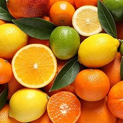 Tampico Citrus Punch, Orange Tangerine Lemon