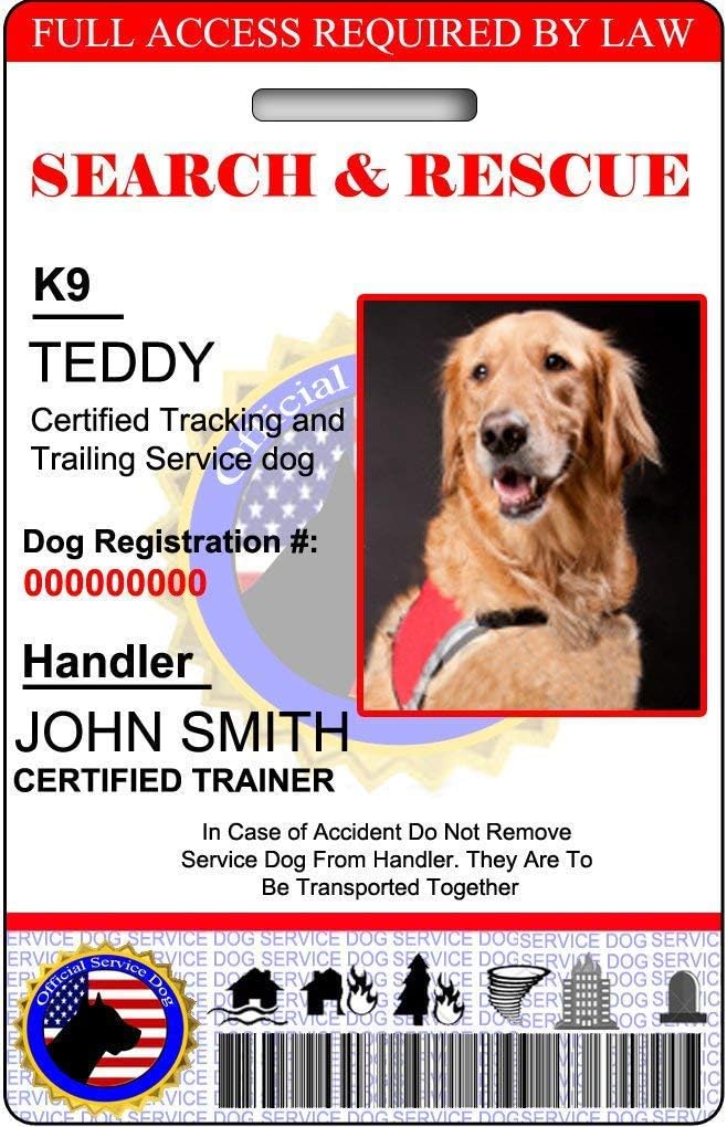 diy dog ramp for stairs