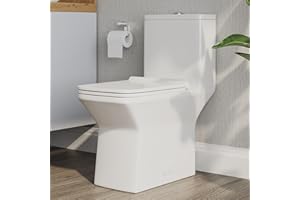 DEER VALLEY DeerValley Elongated One Piece Toilet, DV-1F0072-1 Square Compact Toilets for Bathrooms, Dual Flush 1/1.6 GPF and MaP 1000g, 12'' Rough-In Chair Height 16.93" Ceramic White Toilet With Soft Close Seat