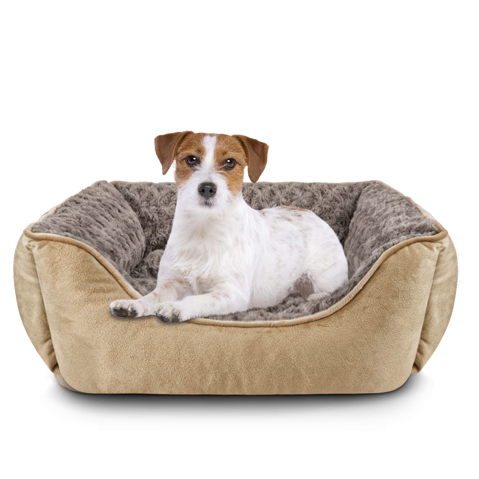 JOEJOY Dog Bed Medium Washable - Calming Anti-Anxiety Rectangle Cat Bed with Soft Cosy Plush - Pet Bed Size Small | Medium | Large Mattress Mat For Dog, Beige — image 1