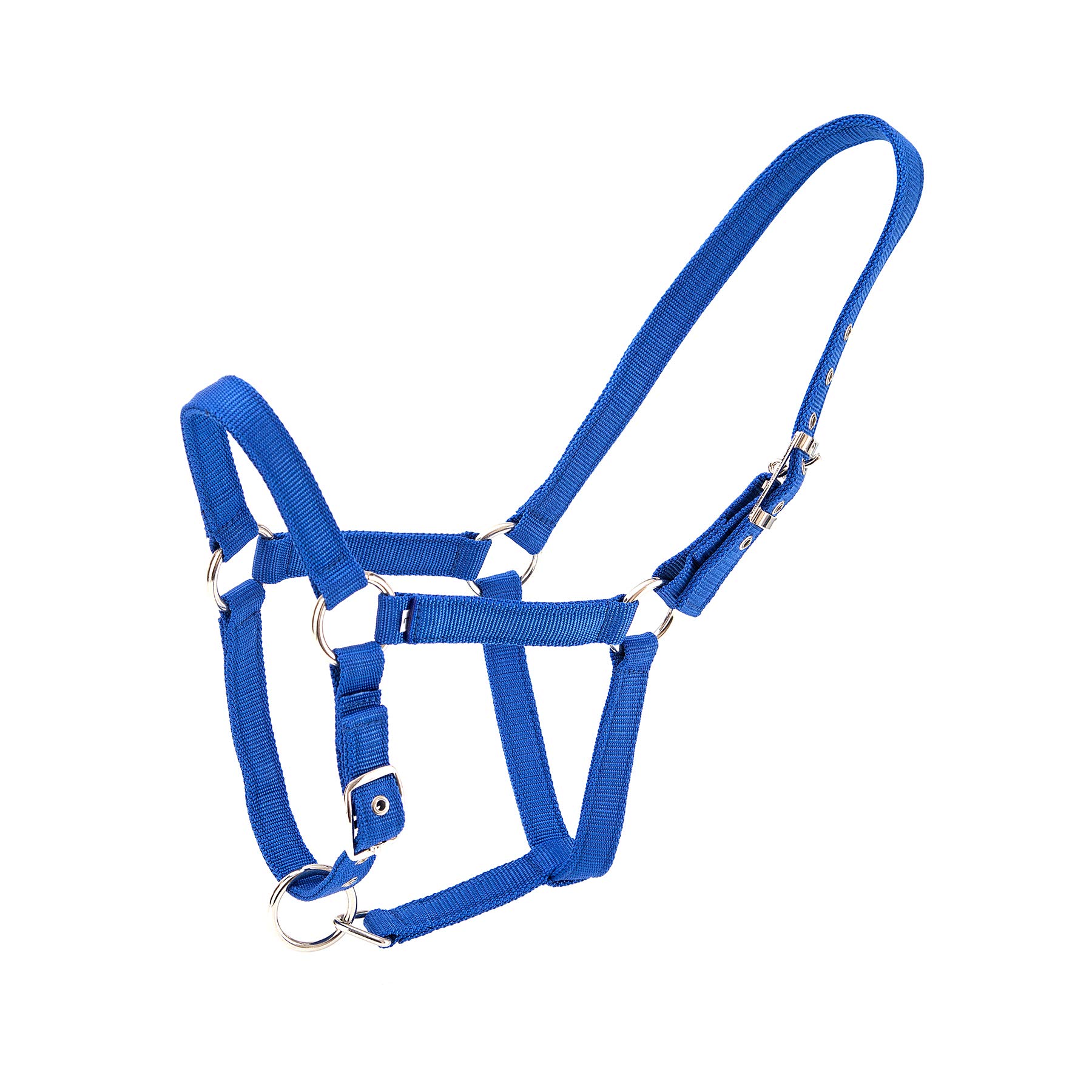 Merauno® Holder Set Trendy Nylon Horse Halter Silver Adjustable Buckle in the Neck and Nose High Quality Polyester Band for Pony Thoroughbred Warmblood (Pony, Blue)