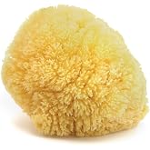Neptune Caribbean Sea Sponge, Large, Approx. 6-7 in, Exfoliating | Hand cut so size and shape vary slightly. Eco-friendly, biodegradable, ultra-soft for face and body