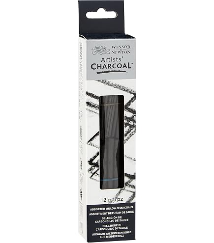 Art Alternatives Charcoal Drawing Sticks, 12-Stick Set...