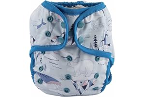 Hibaby One Size Cloth Diaper Cover Snap With Double Gusset (Bear Ice), One Fit All