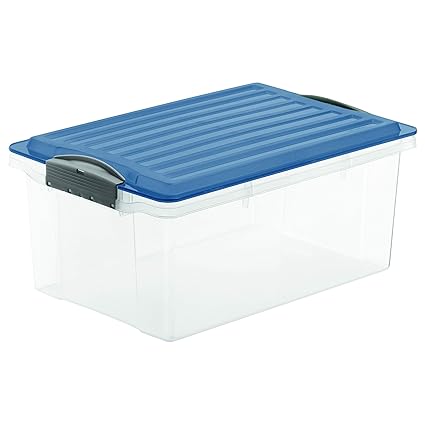 Rotho Compact - Caja de almacenamiento con tapa, plástico, azul
