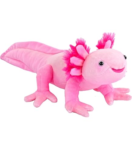 Amazon.com: Adore 21