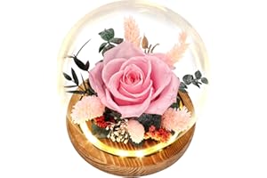REGALO FLOR Preserved Flowers Bouquets Forever Roses Gifts, Long-Lasting Roses Flowers for Delivery Prime, Forever Flowers with LED Lights (Battery Included), Birthday Gift, Mothers Day, Christmas