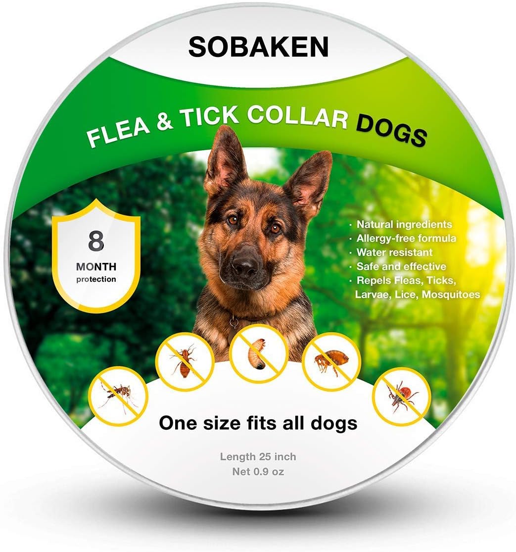 eugene the jeep stuffed animal