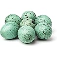 Celadon Coturnix Hatching Eggs (Count, 24)