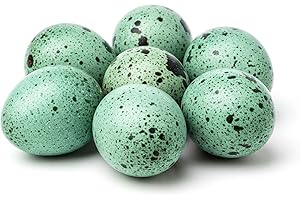 UNDIQUE Celadon Coturnix Hatching Eggs (Count, 24)