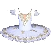 Professional Swan Lake Bodice Stage Performance Costume Ballet Dress Competition Tutu Kids Adult Ballet Puffy Skirt