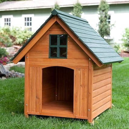 Amazoncom Boomer George Boomer George T Bone A Frame Dog