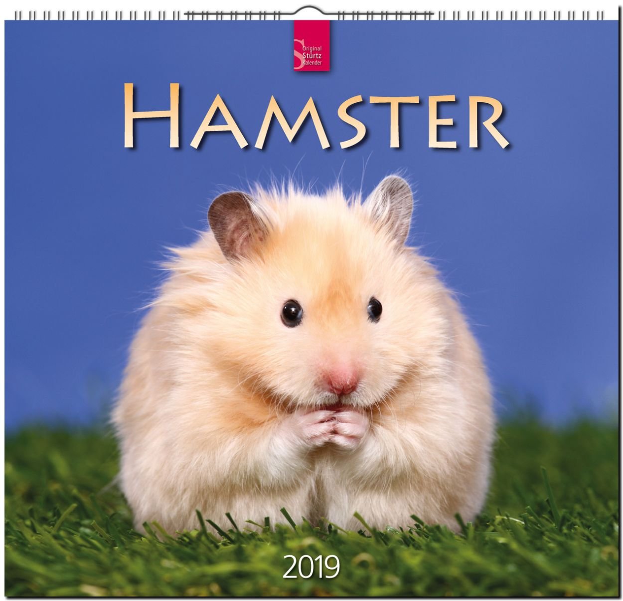 shar pei hip dysplasia