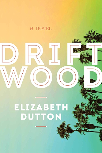 Download Driftwood: A Novel (English Edition) PDF