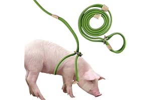 JINKOOZZ Mini Pig Harness & Leash, Adjustable 8 Feet Long Rope for Small to Medium Pet Pigs