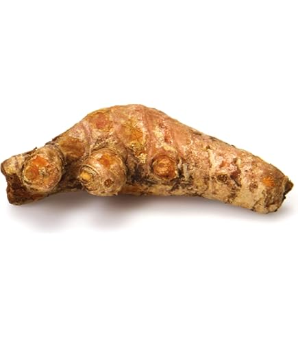 Amazon.com: Wild West Ferments, 24 Carrot Gold Organic, 12 Ounce : Grocery  & Gourmet Food
