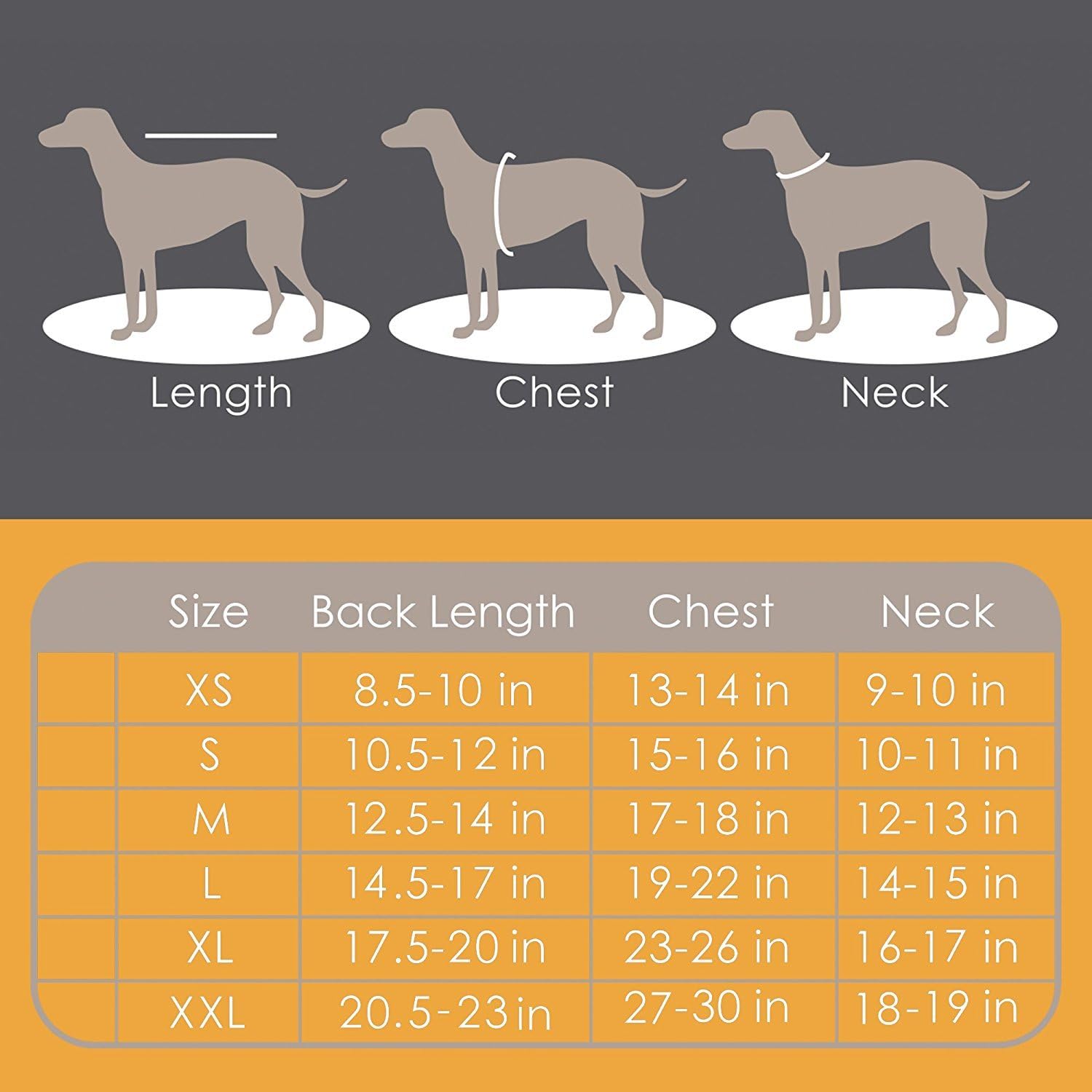 friends forever dog sweater