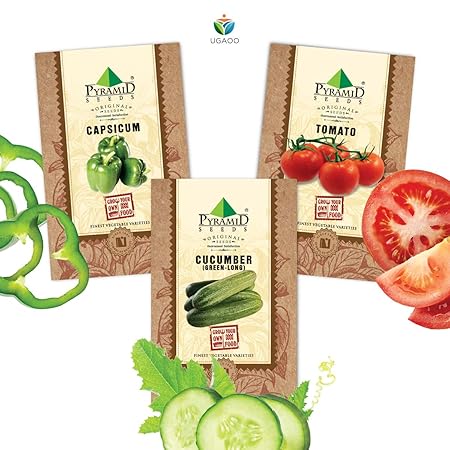 Pyramid Seeds Vegetable Seeds Combo Of Capsicum, Tomato, Green Cucumber (Long)