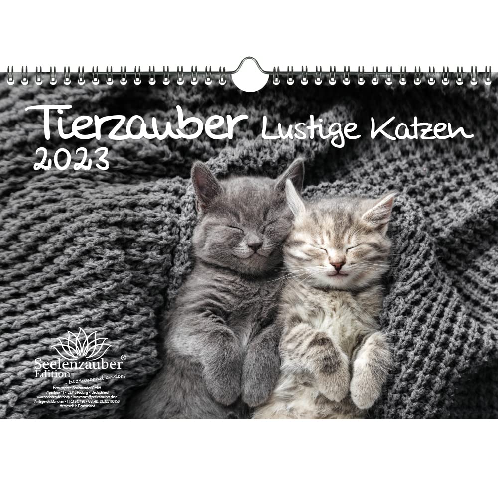 Tierzauber Funny Cats DIN A4 Calendar for 2023 Funny Moments with Cats - Soul Magic, Multi-Colour, KN2023-4W-0046-D-0