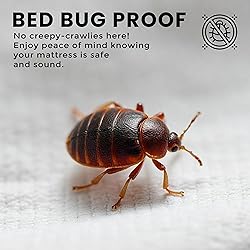 Utopia Bedding Premium Waterproof Bed Bug Mattress
