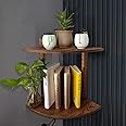 2-Tier Corner Wall Shelves, Sector Wall Mounted Floating Corner, Storage Shelves for Living Room, Bedroom, Kitchen