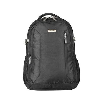 Aristocrat laptop bags price Clearance