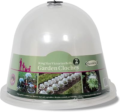 Haxnicks King Size Victorian Bell Cloche 2 Pack Transparent 31x40 cm