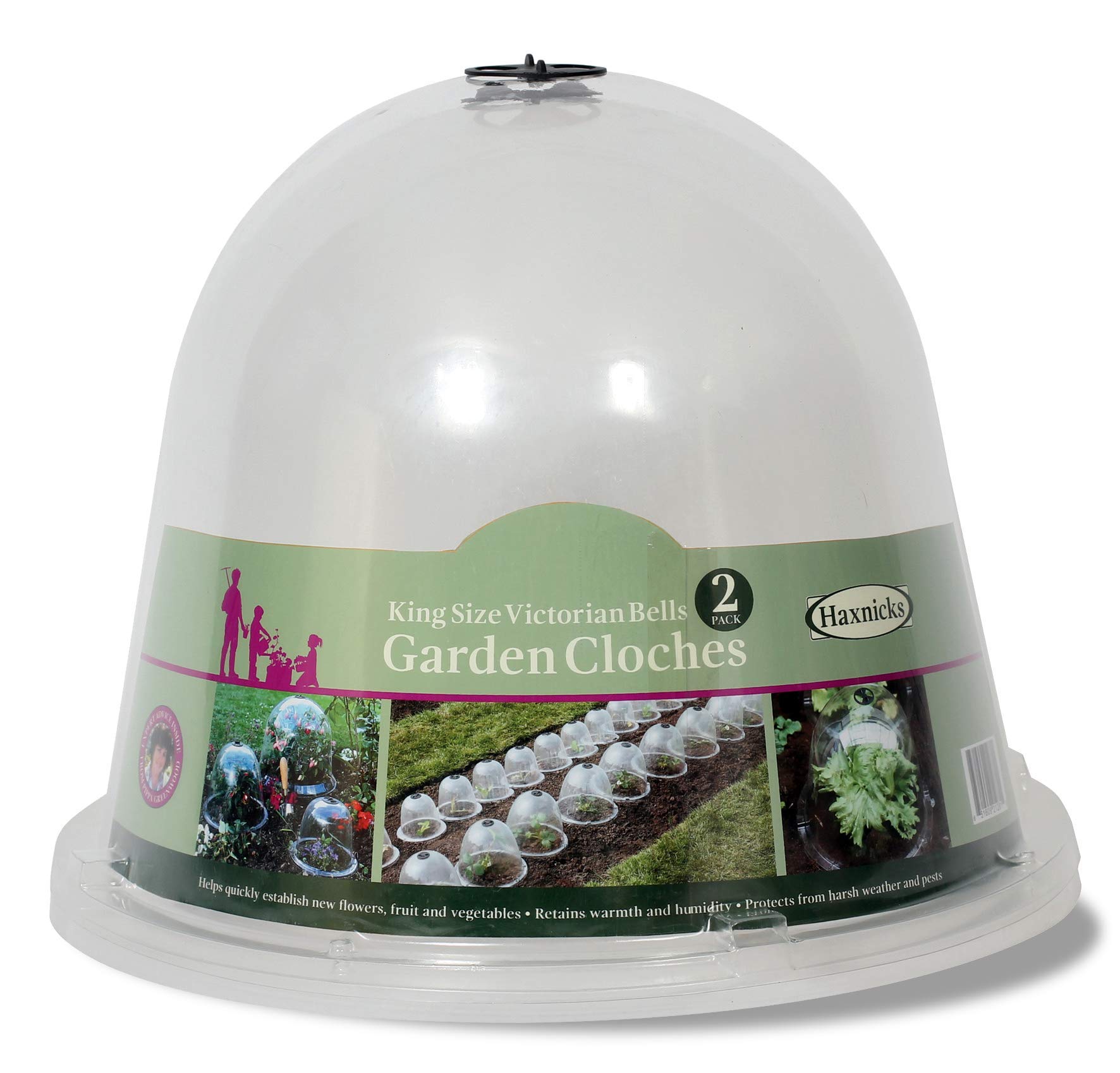Haxnicks 2 x King size Victorian Bell Garden Cloche Plant Protection | Growing Vegetable | Specimen Plants | Transparent, 31 x 40 cm BELL090101 | 2 Count (Pack of 1)