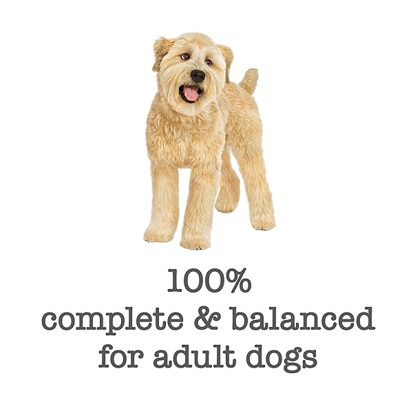 PURINA BENEFUL WET DOG FOOD, MEDLEYS ROMANA STYLE WITH CHICKEN, CARROTS, PASTA AND SPINACH IN SAUCE – (PACK OF 12) 3 OZ. CANS