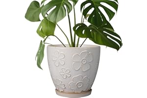 MPotTo Ceramic Planter 8 Inch Plant Pot with Drainage Hole and Saucer Ceramic Pots for Indoor Plants Outdoor Large Flower Pot for Home Decor White