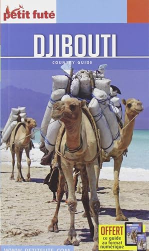 Download Petit Futé Djibouti PDF