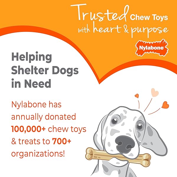 NYLABONE NEW PUPPY STARTER KIT, 2 CHEW TOYS AND 1 NATURAL TREAT FOR PUPPIES, PUPPY TEETHING TOY, BACON & CHICKEN FLAVOR, SMALL DOGS – UP TO 25 LBS., 3 PACK