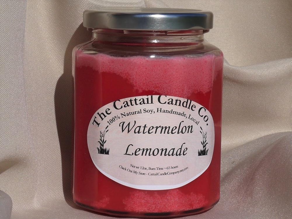 Watermelon Lemonade 100 Soy Candle, 12 fl oz Handmade