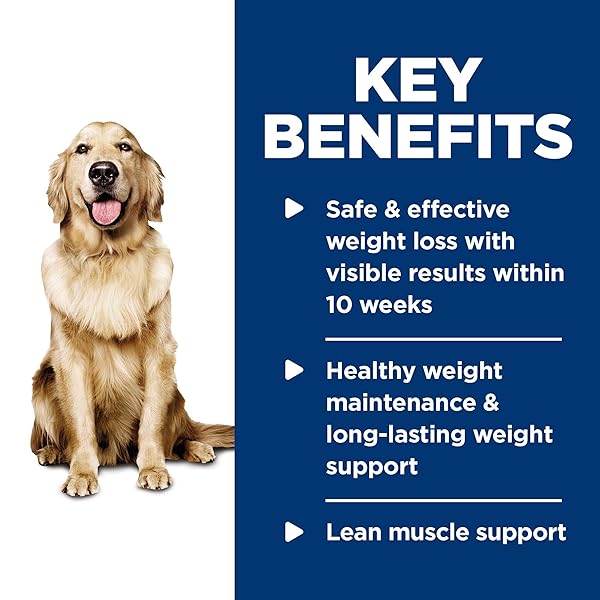 HILL’S SCIENCE DIET PERFECT WEIGHT, ADULT 1-6, WEIGHT MANAGEMENT SUPPORT, WET DOG FOOD, CHICKEN & VEGETABLES STEW, 12.5 OZ CAN, CASE OF 12