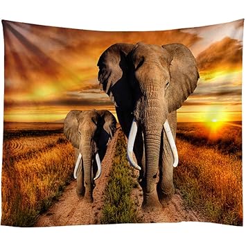 Tapices Xiaobaozigt Tapiceria Toalla De Playa Estera De Yoga Manta