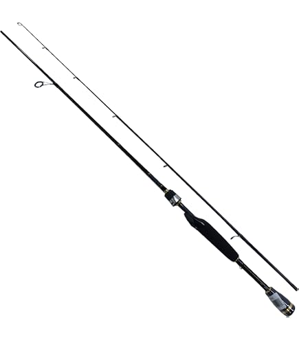 Daiwa Crossbeat SW 746TUL Fishing Rod : Amazon.ca: Sports & Outdoors