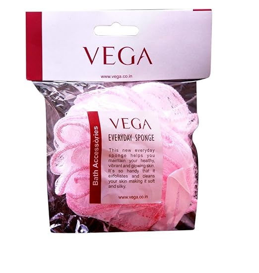 Vega Everyday Sponge, 1 Piece